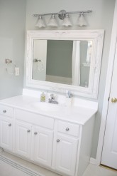 Master Bathroom Remodel - welcometothemousehouse.com