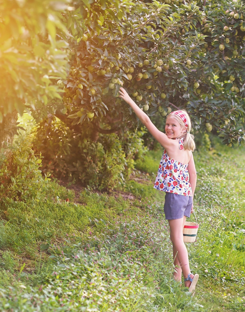 Susie Halter Top and Shorts: Project Run and Play ...